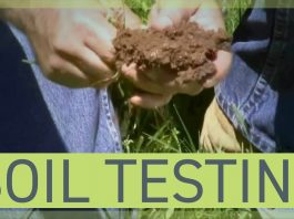 East-West Metro soil test in yield zone