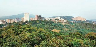 MMRC said Trees already cleared in Aarey Colony, work will start now